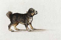 Mastiff dog (1584–1604) aesthetic drawing by Jakob Walther. Original public domain image from the National Gallery of Art. Digitally enhanced by rawpixel.