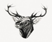 Aesthetic elk head psd.   Remastered by rawpixel