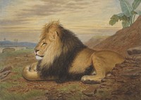 A Lion painting in high resolution by Thomas William Wood.  