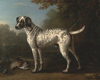 A Grey Spotted Hound (1738) painting in high resolution by John Wootton.  