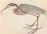 The Purple Heron painting in high resolution.  