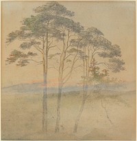 Pines in a Morning Fog (1830s) by Ernst Ferdinand Oehme.  