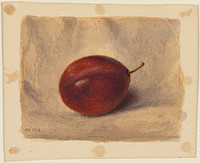 Plum (1903) by John Henry Hill.   