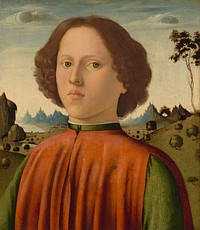 Portrait of a Boy (ca. 1476–1480) by Biagio d'Antonio.  