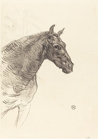 Old Horse (Le vieux cheval) (1897) print in high resolution by Henri de Toulouse–Lautrec.  