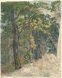 Rays of Sunlight Striking a Woodland Path (ca. 1815) by Friedrich Salath&eacute;.  