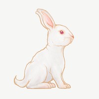 White rabbit, Chinese zodiac animal illustration psd