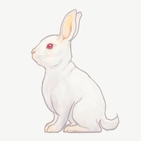 White rabbit, Chinese zodiac animal illustration psd