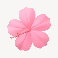 Pink Hibiscus clipart, botanical design