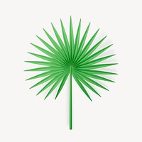Cartoon fan palm clipart, botanical design
