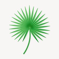 3D fan palm collage element, botanical design psd