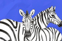 Zebras background, blue design, animal illustration