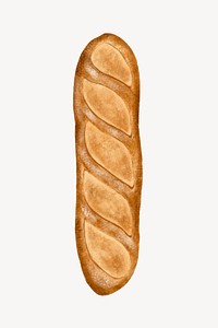 French baguette bread, food illustration vector