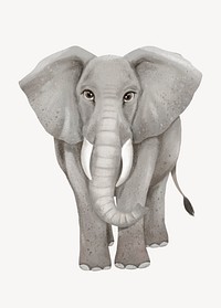 Elephant collage element, cute animal illustration