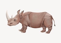 Rhino collage element, cute animal illustration psd