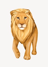 Lion collage element, cute animal illustration psd