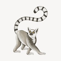Lemur collage element, cute animal illustration