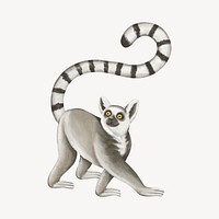 Lemur collage element, cute animal illustration psd