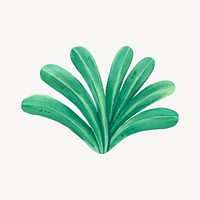 Tropical leaves collage element, botanical illustration psd