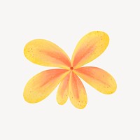 Yellow flower collage element, botanical illustration psd