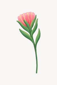 Cute flower collage element, botanical illustration