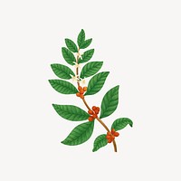 Tropical leaf collage element, botanical illustration