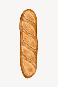 French baguette bread, food illustration