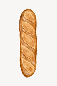 French baguette bread, food illustration psd