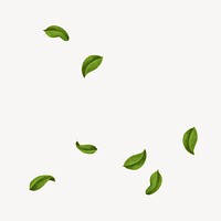 Falling peppermint leaves, herb illustration