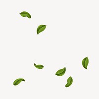 Falling peppermint leaves, herb illustration vector