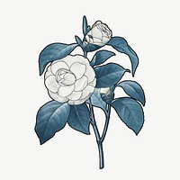 White camellia clipart psd, remixed by rawpixel