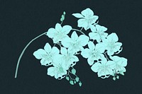 Blue moth orchid illustration, remixed by rawpixel