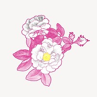 Aesthetic rose illustration, remixed by rawpixel