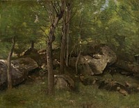 Rocks in the Forest of Fontainebleau (1860–1865) by Jean–Baptiste–Camille Corot.  