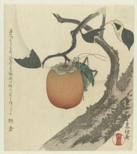 Kakivrucht met sprinkhaan (ca. 1890–1900) by Katsushika Hokusai. 