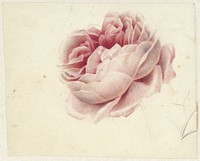 Original public domain image from the Rijksmuseum