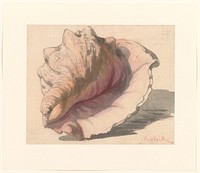 Original public domain image from the Rijksmuseum