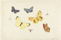 Sheet of Studies with Five Butterflies, a Wasp, and Two Flies (1680–1692) painting in high resolution by Pieter Withoos.  