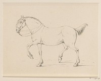 Stappend paard, naar links (1775&ndash;1833) drawing in high resolution by Jean Bernard.  