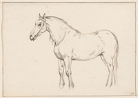 Staand paard, naar links (1818) drawing in high resolution by Jean Bernard.  