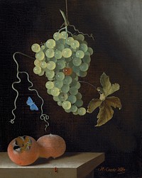 Still Life with a Hanging Bunch of Grapes, Two Medlars, and a Butterfly (1687) by Adriaen Coorte.  