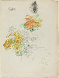 Pierre-Auguste Renoir's Studies of Trees (1886) drawing in high resolution 