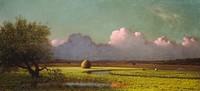 Sunlight and Shadow: The Newbury Marshes (ca. 1871–1875) by Martin Johnson Heade.  