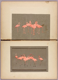 Flamingoes, study folder for book Concealing Coloration in the Animal Kingdom painting in high resolution by Abbott Handerson Thayer (1849–1921).  