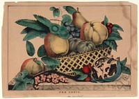 The Fruit