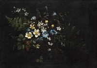 Spray of Flowers and Ferns by Titian Ramsay Peale (1799–1885).  