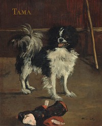 Tama, the Japanese Dog (c. 1875) painting in high resolution by Edouard Manet.  