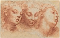 Three Feminine Heads (ca. 1522–1524) drawing in high resolution by Parmigianino.  