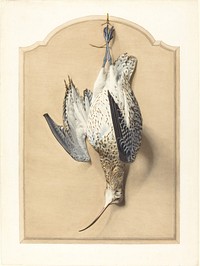 Trompe l'Oeil: A Curlew Hanging from a Nail (1850s) by &Eacute;douard Travi&egrave;s.  