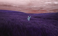 Aesthetic purple grassland background